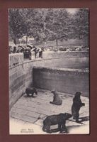 BERN - Bärengraben