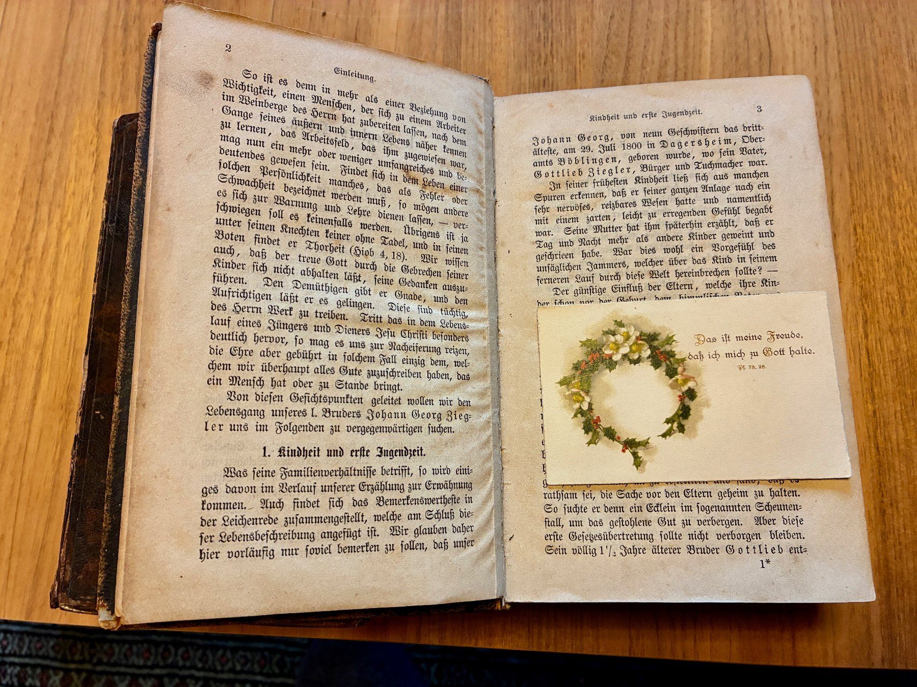 Libri: Antikes Buch 1873 – Usato da Dättlikon venduto da johnybestsale 2