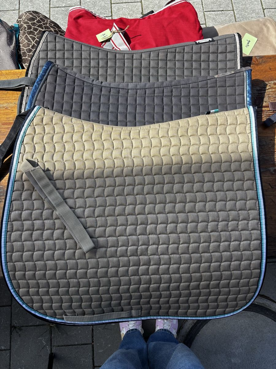 Eskadron Coperte & Accessori: Eskadron DL schabracken Set – Usato da Rickenbach LU venduto da mic_y5rd