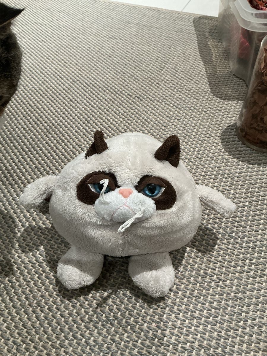 Spielzeuge: Grumpy cat Stofftier/Plüschtier, Katze – Gebraucht aus Winterthur von ale_bbx6 3