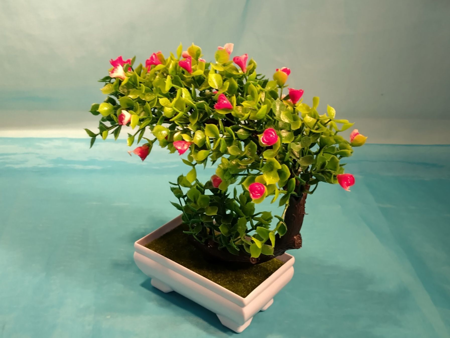 Pflanzen & Samen: Bonsai Bäumchen, Kunstpflanze – Neu (gemäss Beschreibung) aus Bellach von JingleCherry 2