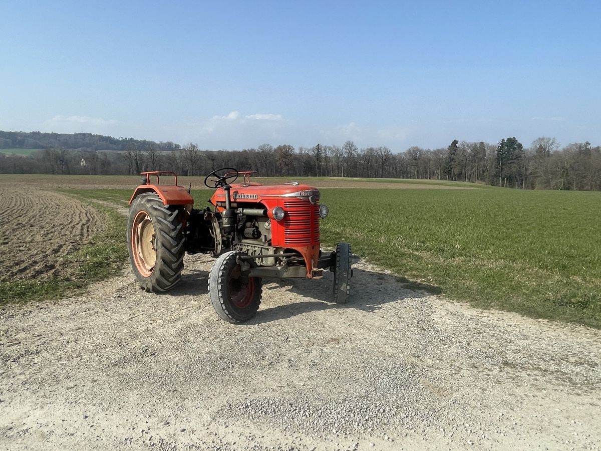 Hürlimann Trattori: Hürlimann Traktor D110 – Usato da St.Antoni venduto da MixMaxx 4