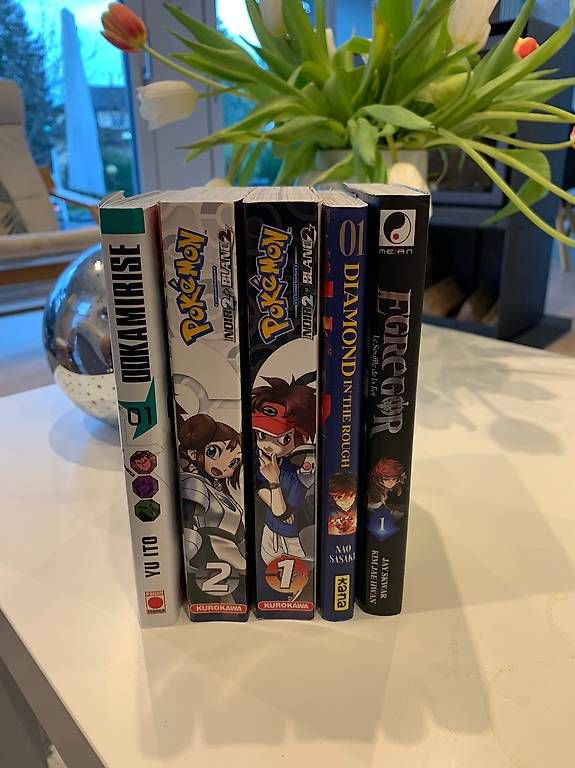 Fumetti: Lot de manga – Usato da Bussigny venduto da Gadz10 1
