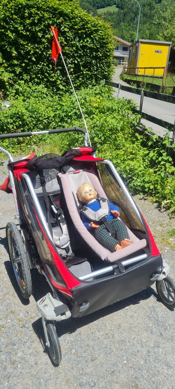Rimorchi: Kinderfahrradanhänger Chariot ... – Usato da Hofstetten b. Brienz venduto da Nordtor 3