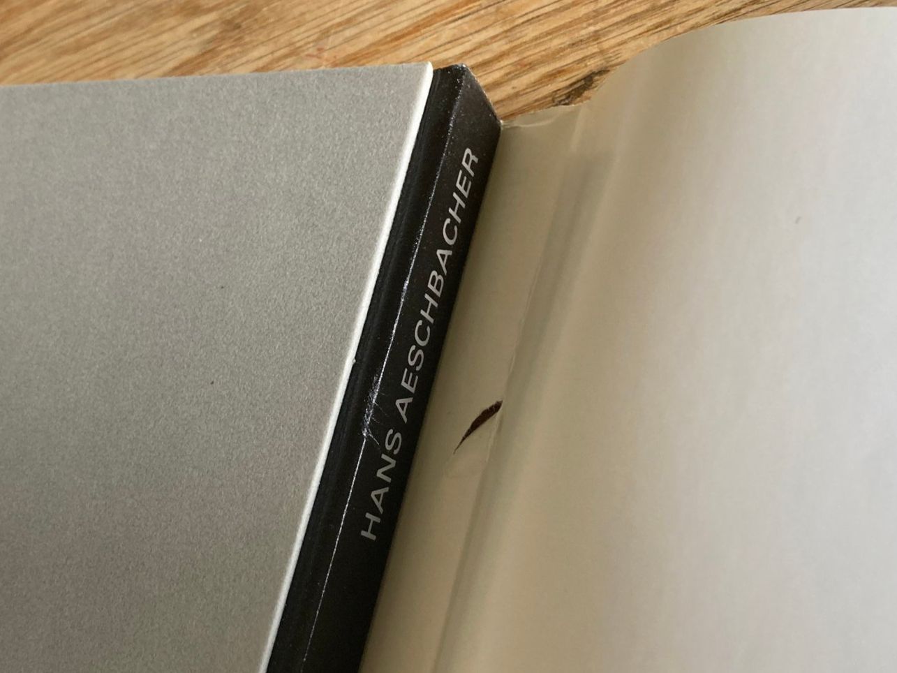 Libri: Aeschbacher, Hans - Hans Heinz Holz – Usato da zürich venduto da Tombola8 4