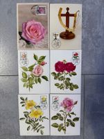Maximumkarten FDC 1982 Rosen und Rose 2015 (Stempel Münster)