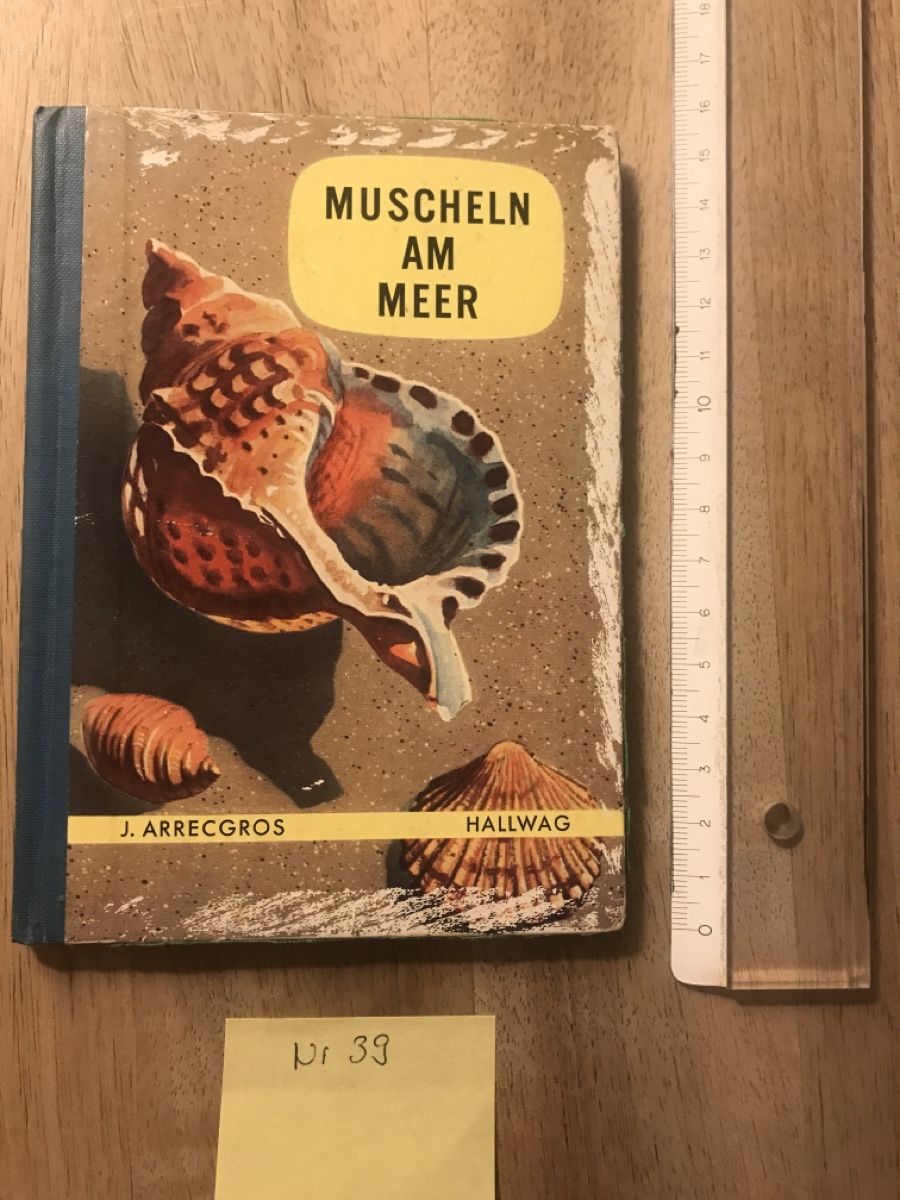Bücher: Schnecken und Muscheln Buch – Gebraucht aus Thalwil von mabara42 1