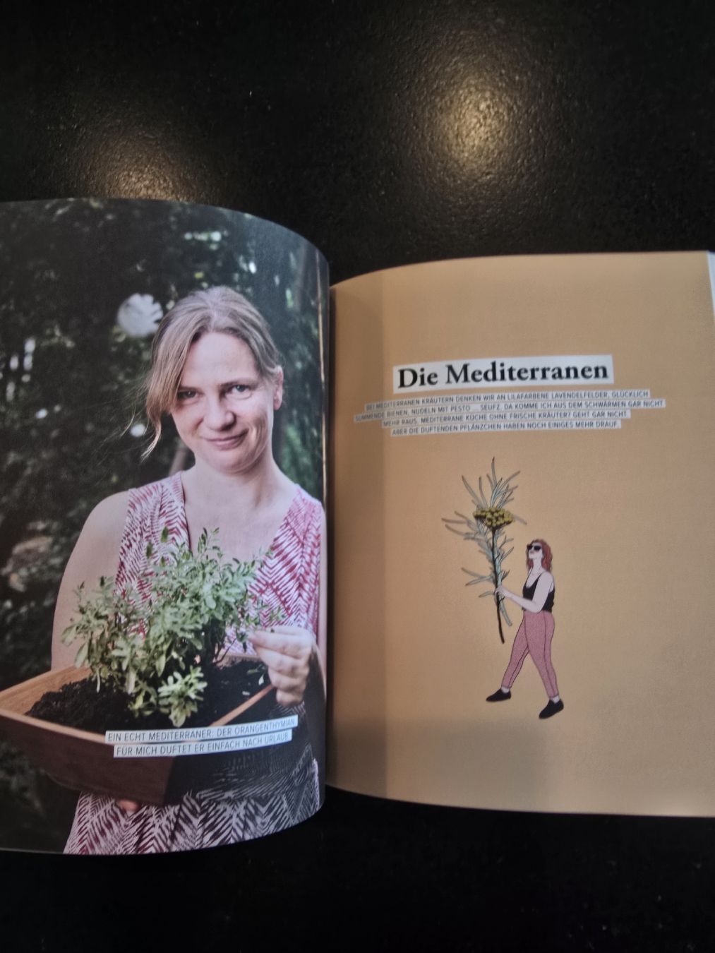 Livres: "Deine fabelhaften Kräuter" - Daniela Breithuber – Neuf (Voir description) à St. Gallen par charly92 5
