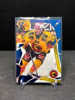Mats Alge - SC Bern / Blue