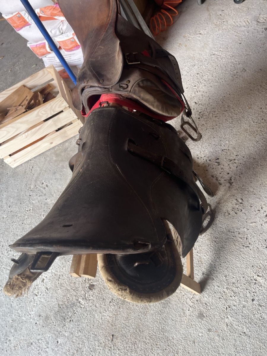 Selle & Accessori: 2 Alte Sättel – Difettoso da Oberwil i. S. venduto da sam95s 1