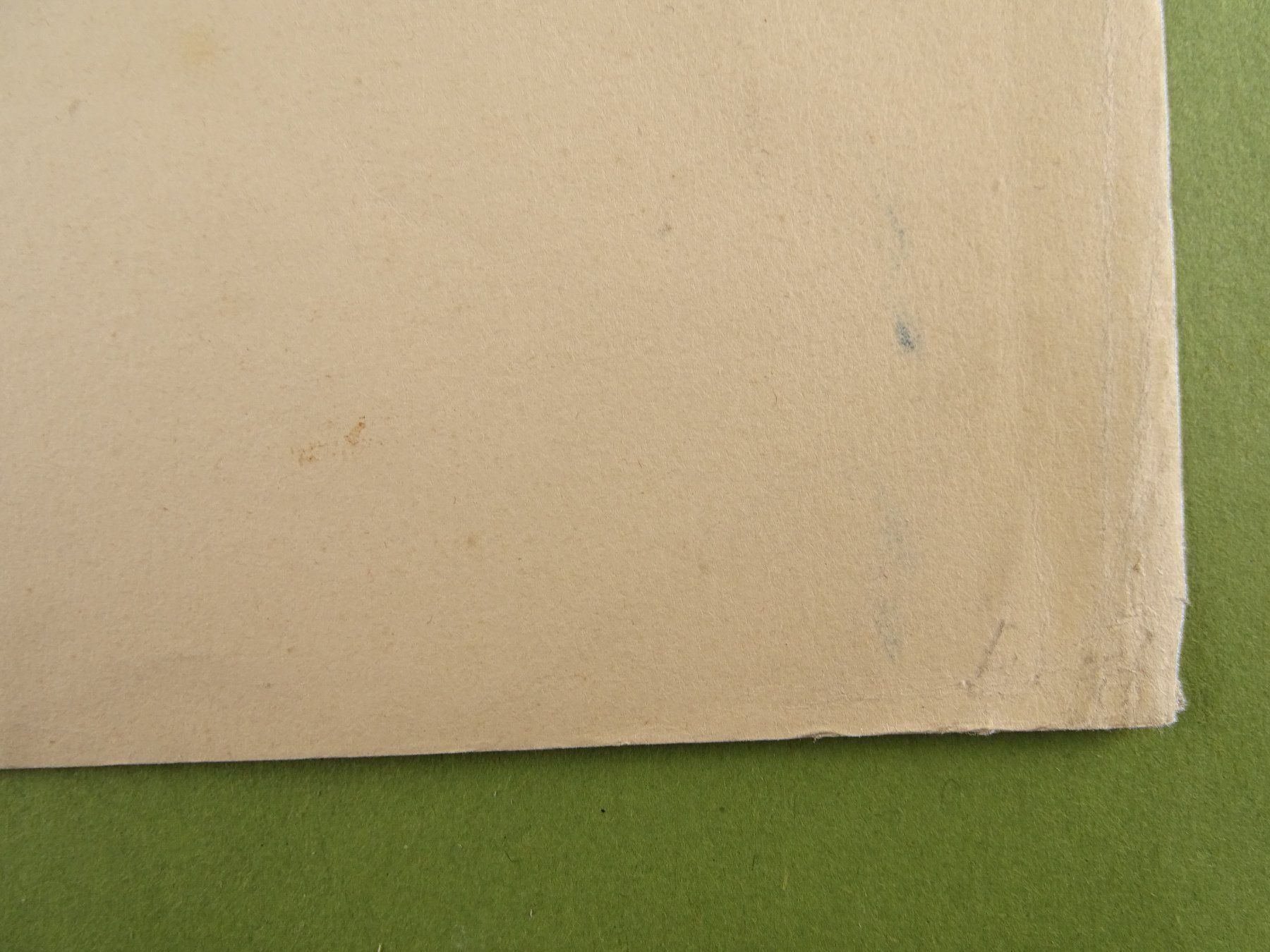 Incisioni: MEIRINGEN ZIEGENHIRTE, LITHOGRAPHIE – Usato da Grüningen venduto da Kartensammler 7