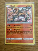 Entei 47/214