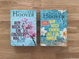 Colleen Hoover Romane - Nur noch ein einziges Mal