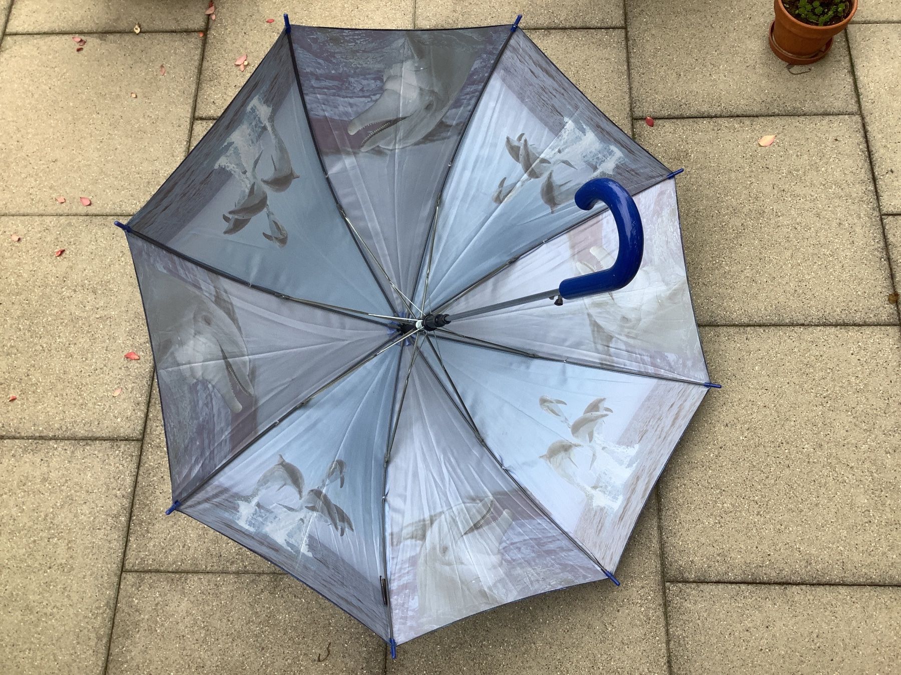 Sonstiges für Kind & Baby: Regenschirm – Gebraucht aus Bonstetten von Lia29 1