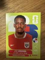 Panini Fifa PAN 8
