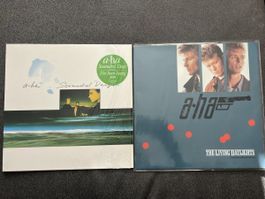 Lot-  A-HA