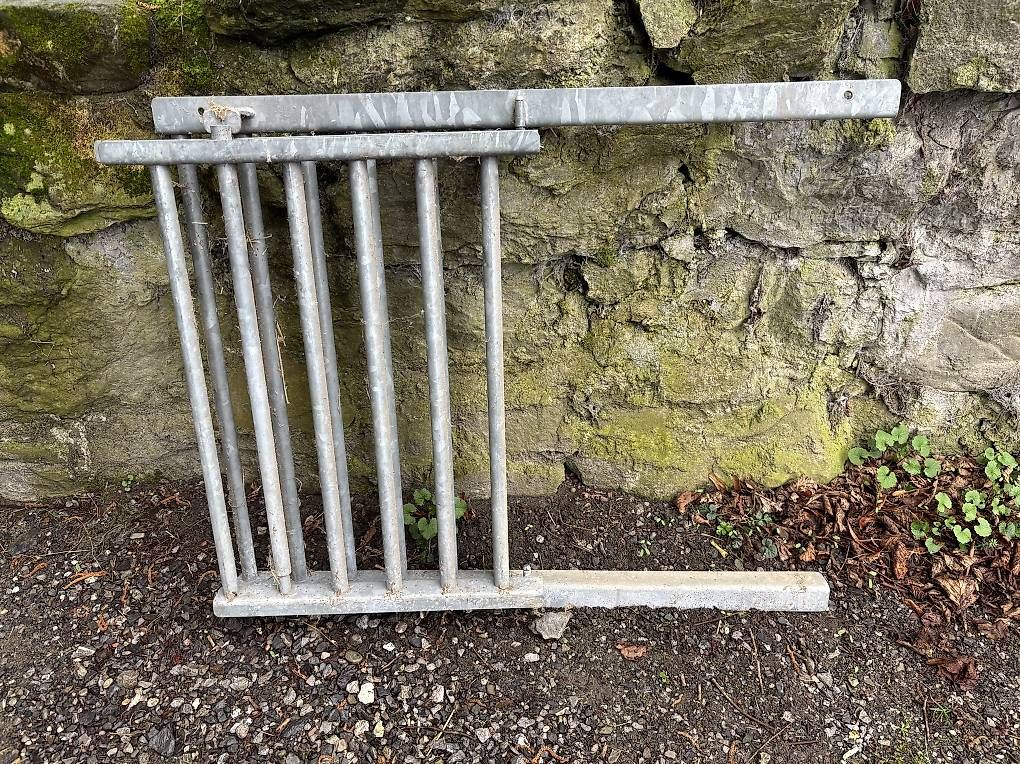 Türen: Stalltor – Gebraucht aus Burgistein von Hohlenwegen 1