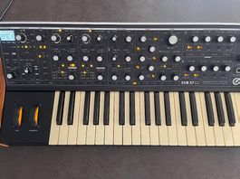 Moog Sub 37 - Bob Moog Tribute