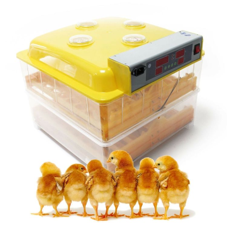 Automatische Brutmaschine Für 26 Eier - Farb-Touchscreen Mit Temperaturkontrolle Für Hühner & Wachteln