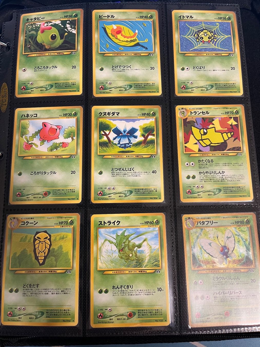Pokémon Sammelbilder & Trading cards: Pokemon VINTAGE Master Set - Crossing the Ruins... – Gebraucht aus Horw von NuVoGu