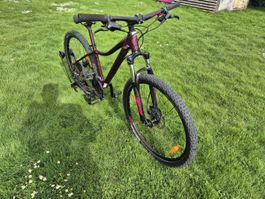Scott Fahrrad Lila