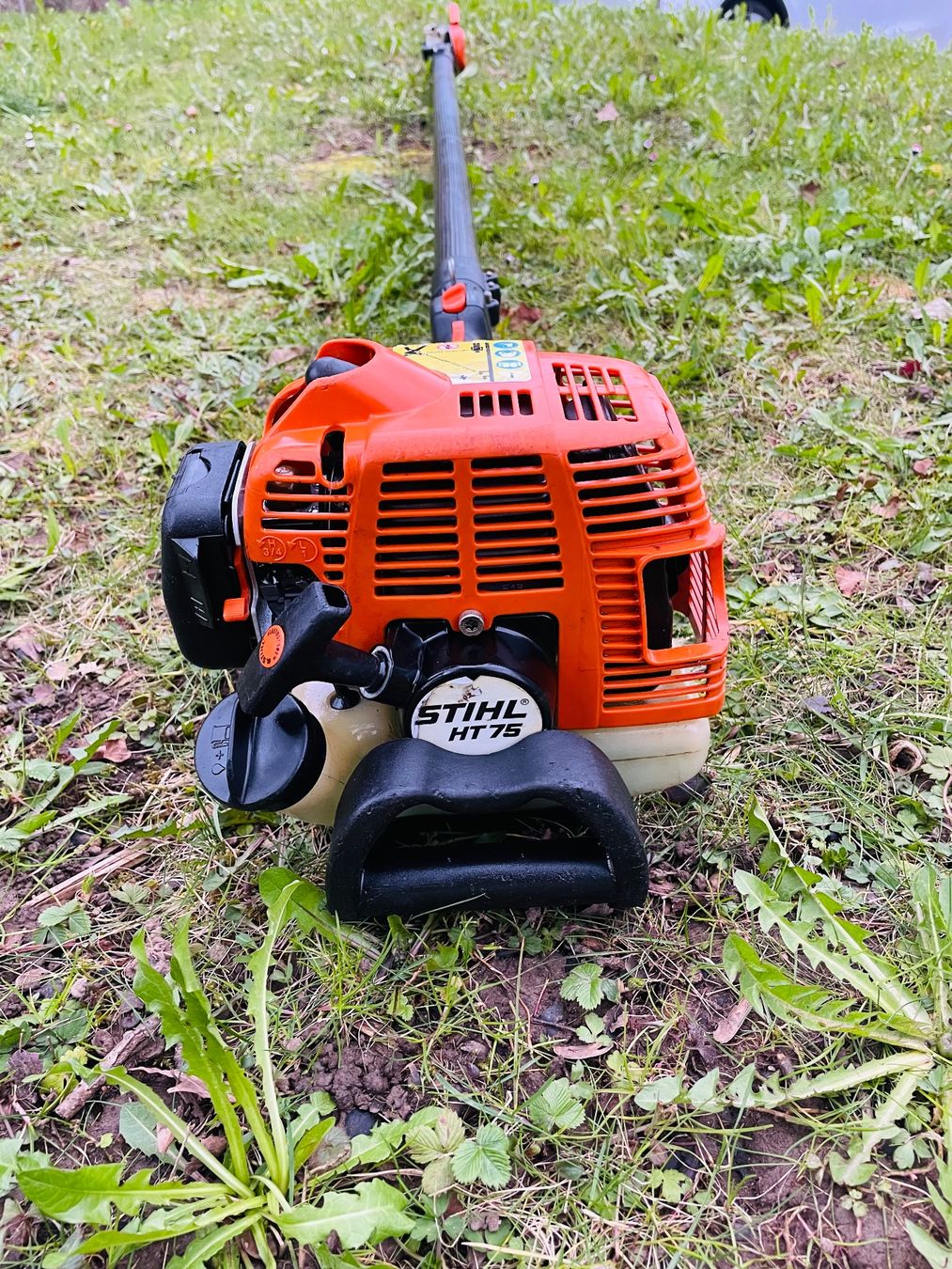 Stihl Seghe: Stihl Motorsäge Teleskop HT 75 – Usato da Dietikon venduto da L.L_GmbH 7