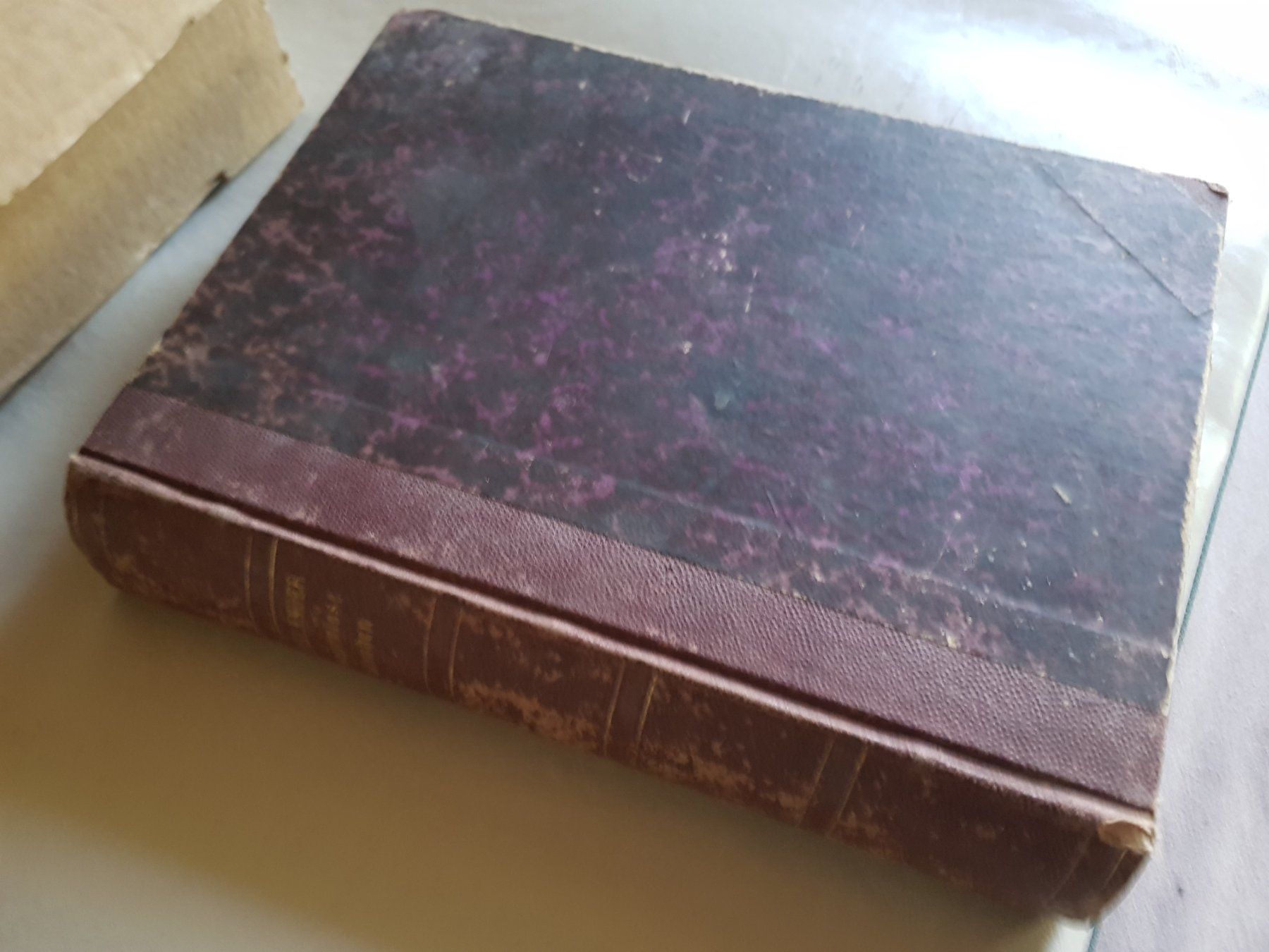 Bücher: antikes Buch: Sorgenlose Stunden - 1875 - Hackländer – Gebraucht aus Walterswil BE von Lonitti 2