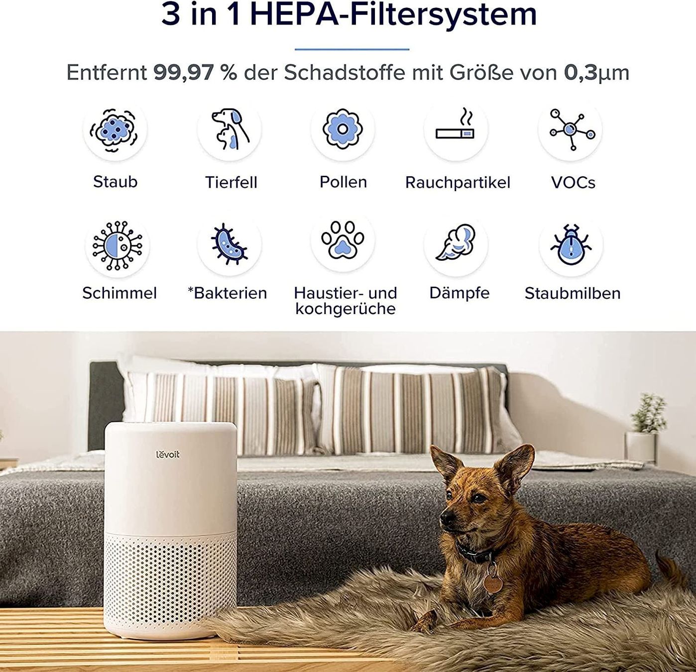 Luftreiniger: LEVOIT Core 200S Luftreiniger – Neu und originalverpackt aus Bottighofen von zaap 2