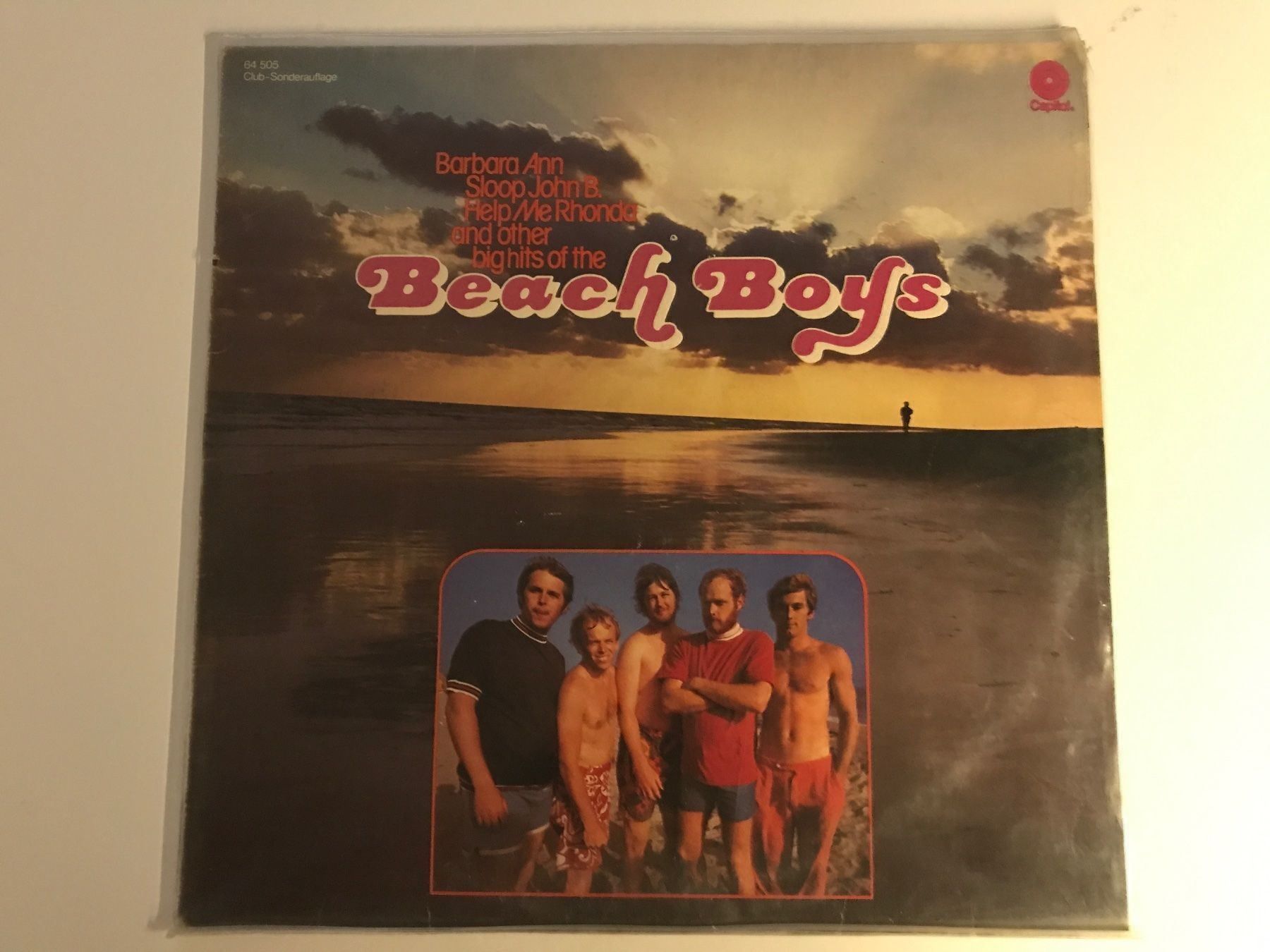 Dischi in vinile: The Beach Boys LP – Usato da Gutenswil venduto da Hamzian