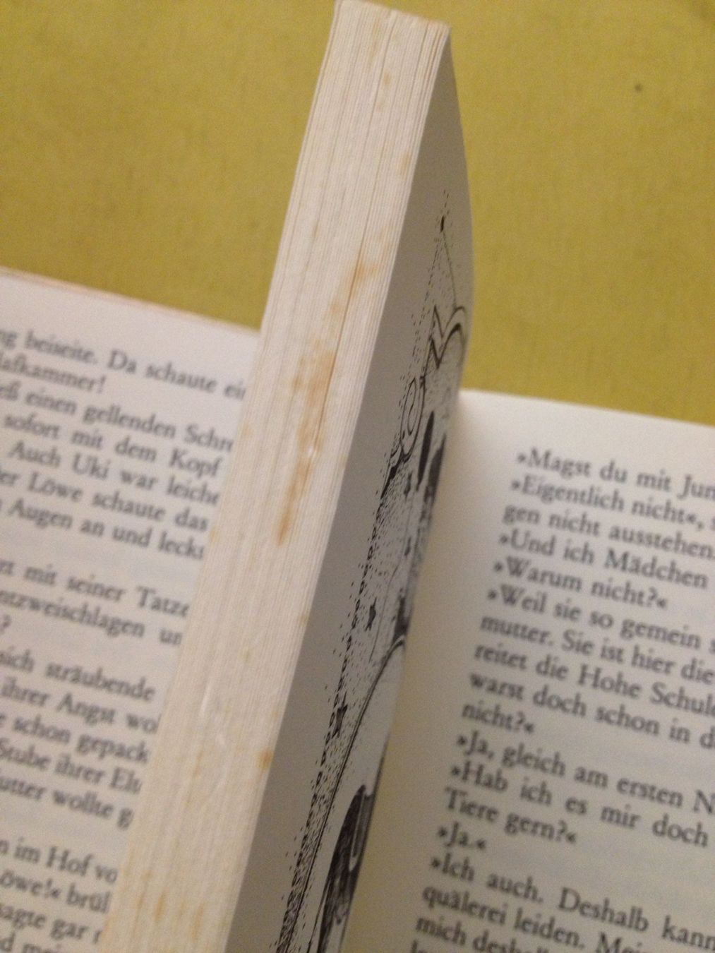 Libri: Buch "Fröhlich durch das Kinderjahr – Usato da Siegershausen venduto da Bubsi83 8