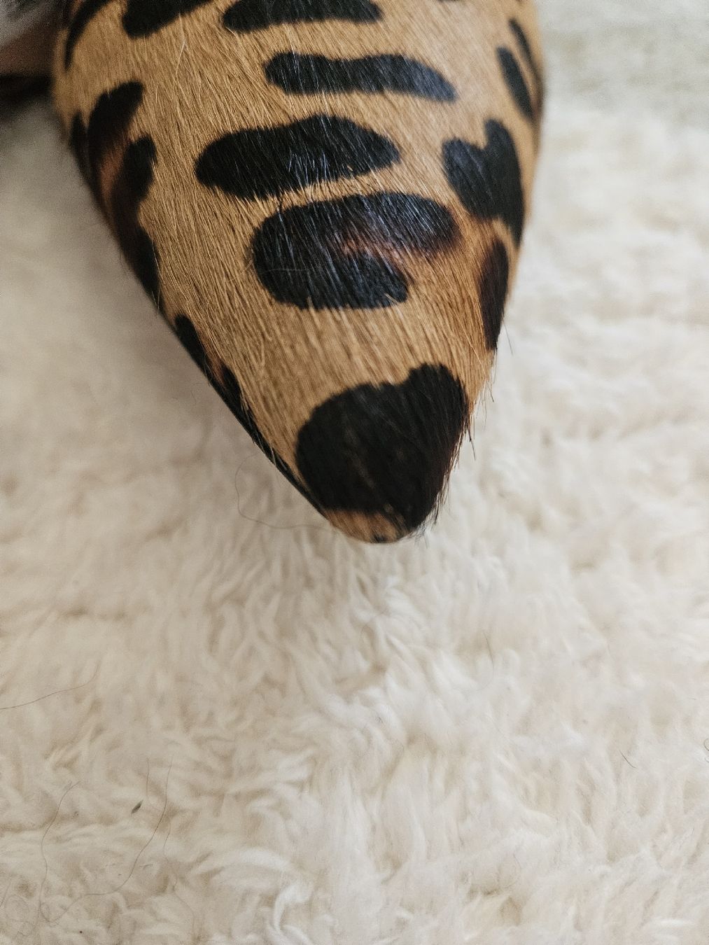 Scarpe da donna: Animal leopard Print Leather heels – Nuovo (secondo la descrizione) da Affoltern am Albis venduto da Katarinushka 6