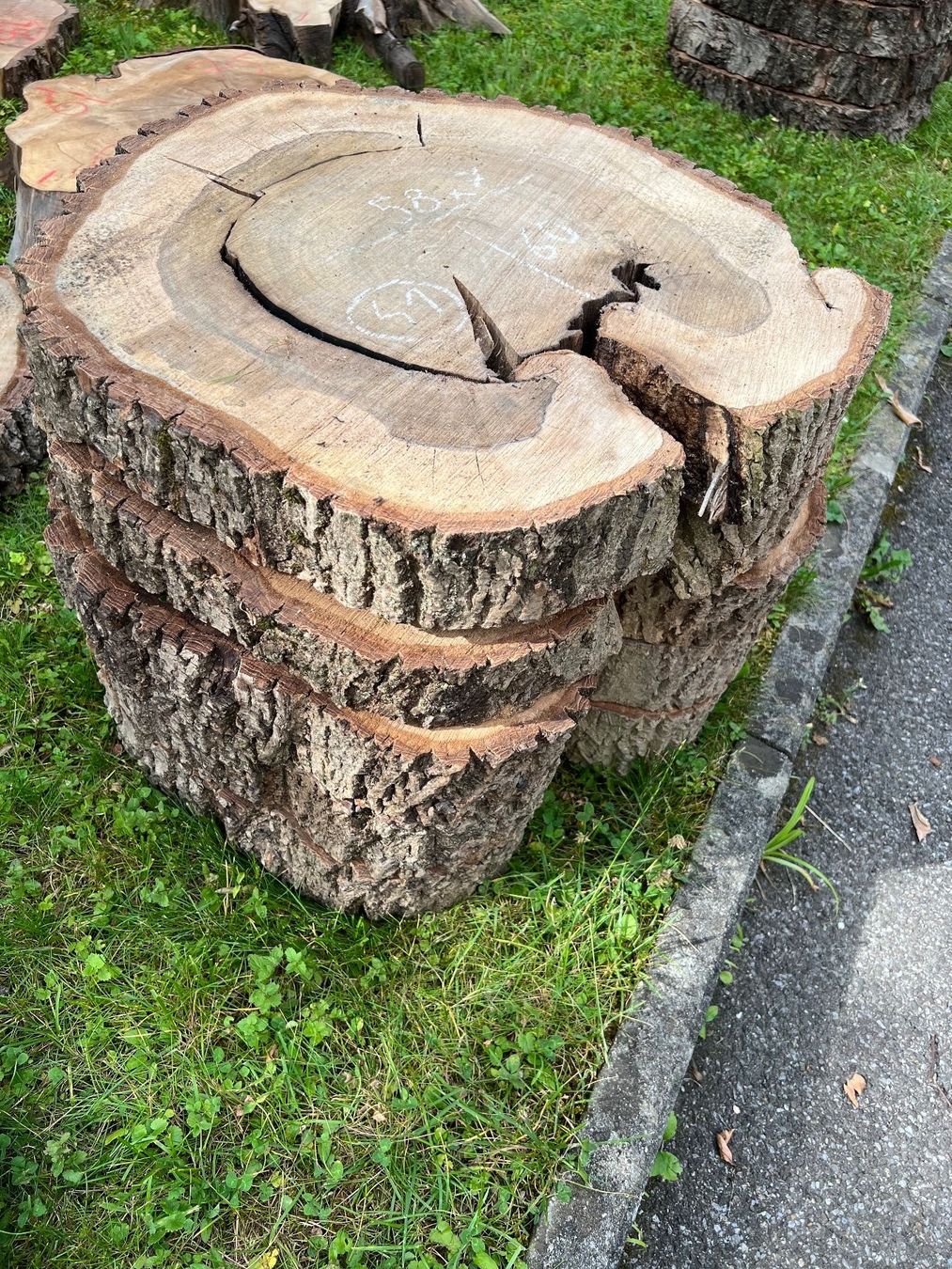 Holzartikel: Nussbaumscheiben / Stamm 31 Stück – Neu (gemäss Beschreibung) aus Port von N.v.A 3