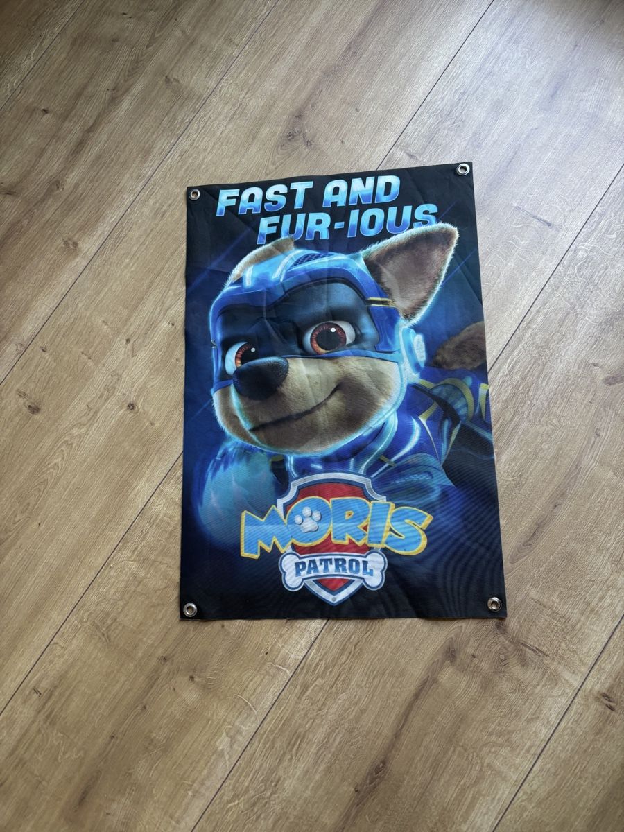 Tessuti: Paw Patrol Stoffbanner – Usato da Effretikon venduto da fabee