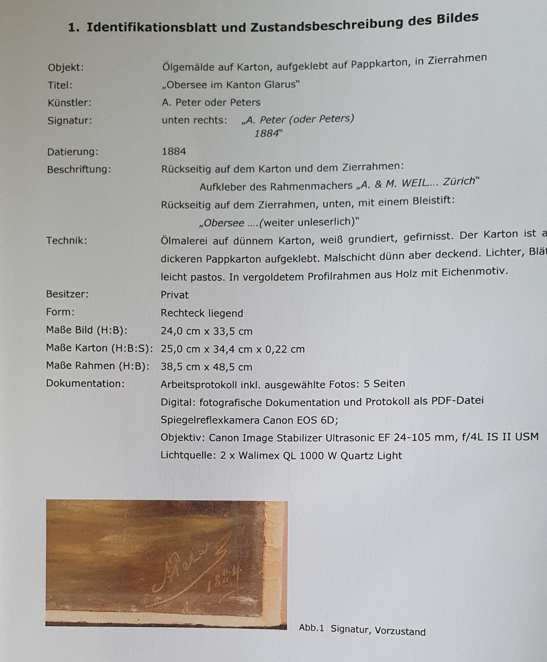 Dipinti: Ölgemälde 1884 - Obersee – Usato da Kreuzlingen venduto da Rschweiz1 5