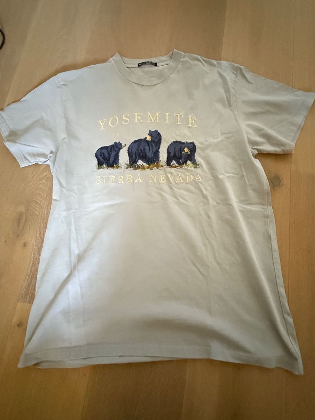 Brandy Melville T-Shirts: Brandy Melville T-Shirt Oversized – Gebraucht aus Niederdorf von Grimpe0508