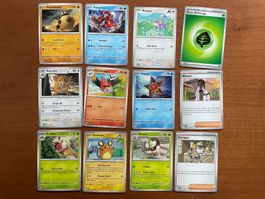 Pokemon 12er Karten Set (Versand gratis)