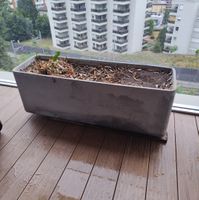 Blumenkasten Betonoptik Lang Rechteckig Grau Gebraucht