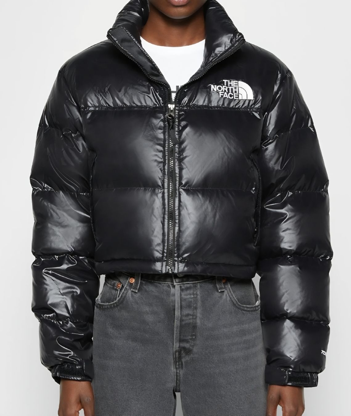 North Face Jacken: North Face Winterjacke – Neu (gemäss Beschreibung) aus Zürich von die_eine