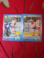 SCRJ RAPPERSWIL JONA EISHOCKEY SAMMELKARTEN 1993/94 ANTIK