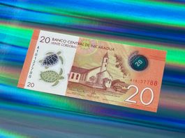 Nicaragua 2014 - 20 Cordobas UNC - Polymer - Schildkröte