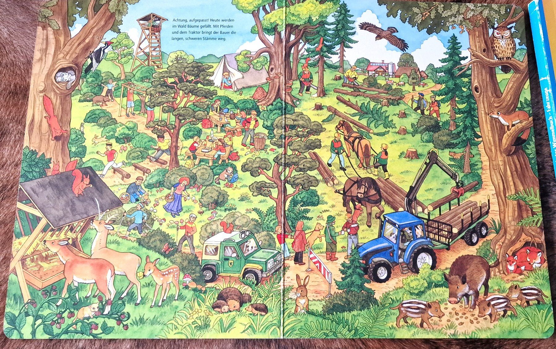 Libri: Kinder Wimmelbuchsammlung 4 Stück – Usato da Hombrechtikon venduto da MalgorzataJ 2