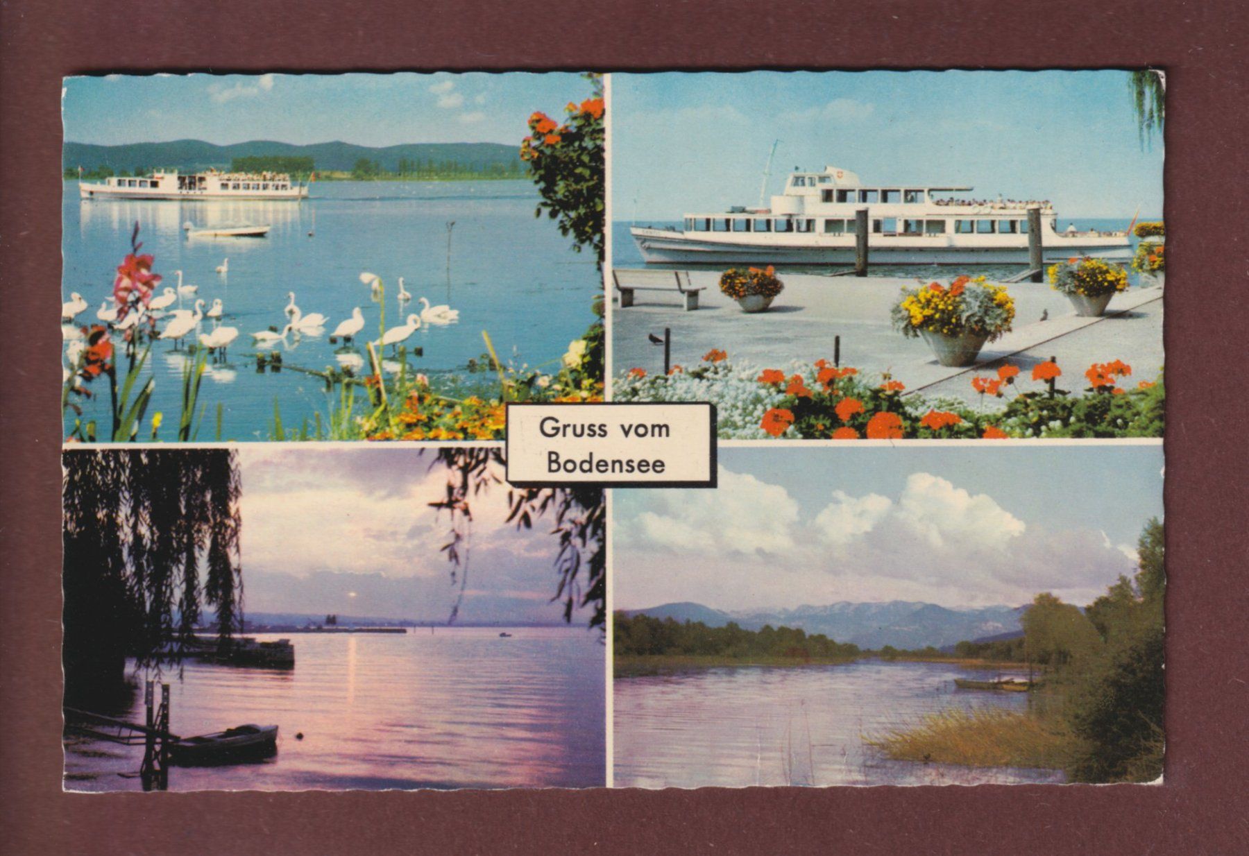 Cartoline postali: Gruss vom BODENSEE - 4 Bilder - 1960 – Usato da Pully venduto da nicecards
