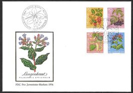 FDC Pro Juventute Serie 1976 ET 29.11.1976 schön illustriert