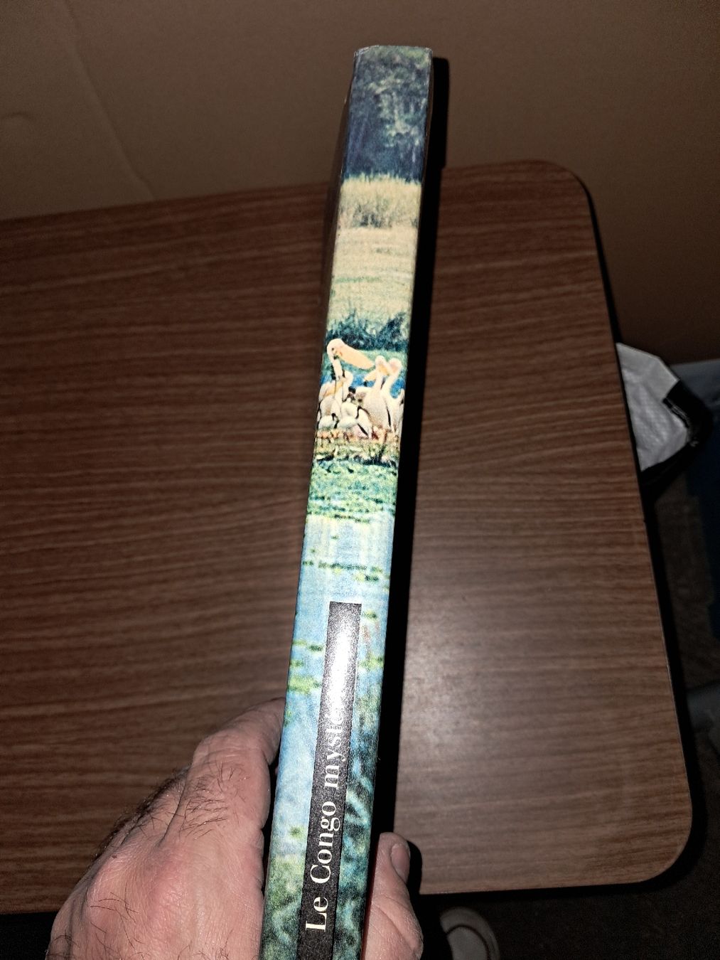 Libri: Livre le Congo mysterieux – Usato da Le locle venduto da juliensaran 2