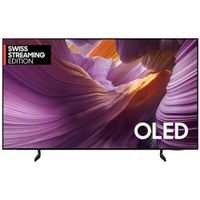 Top Neuheit Samsung S85F 4K NQ4 2025 QE65S85FAE TV Fabrikneu