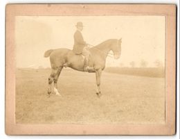 Fotografie Maissau, Reiter auf seinem Pf