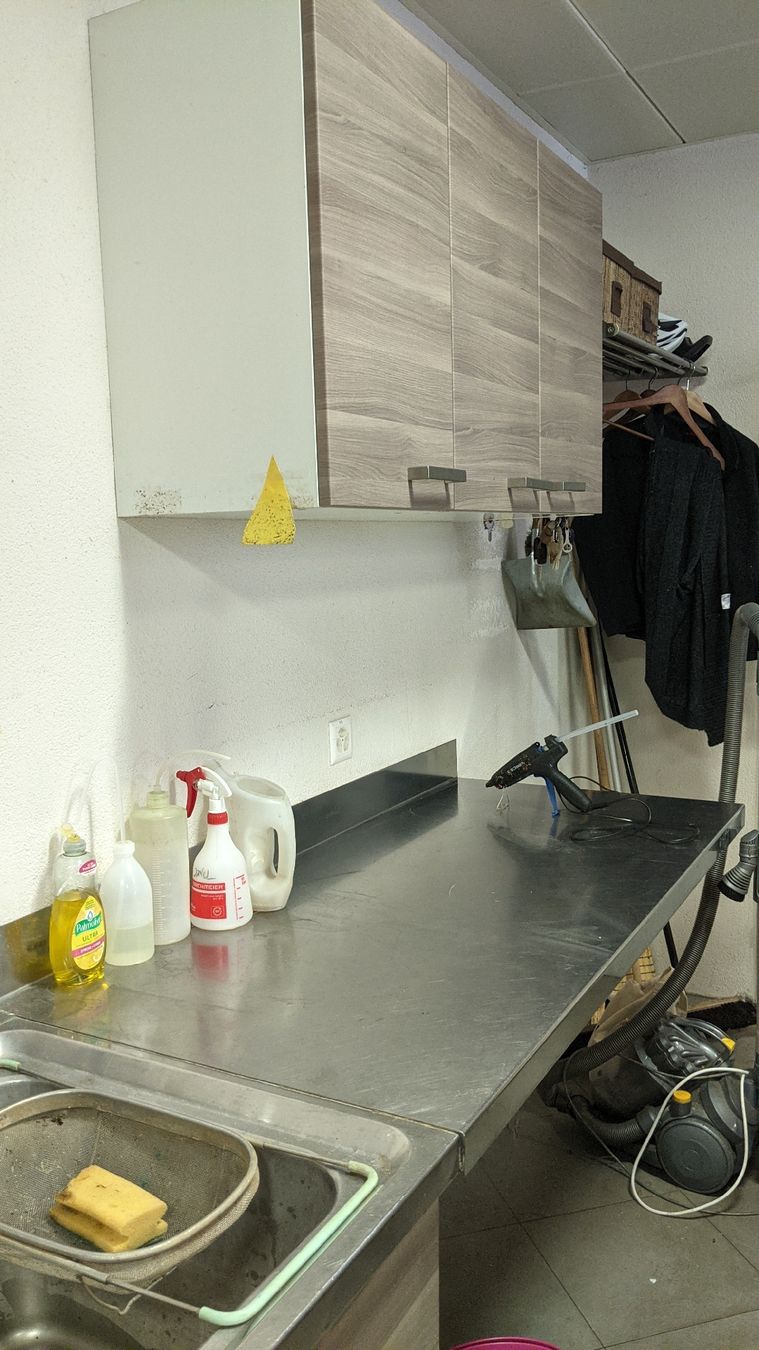 Cucine complete: Küchen Ablage, Regale, Geschirrspüler – Usato da Rüti ZH venduto da kunstreich_8630 1