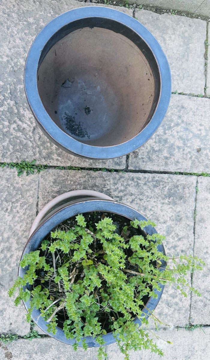 Blumentöpfe: Blumentopf aus Keramik x 2 – Gebraucht aus Volketswil von Frenc77 1