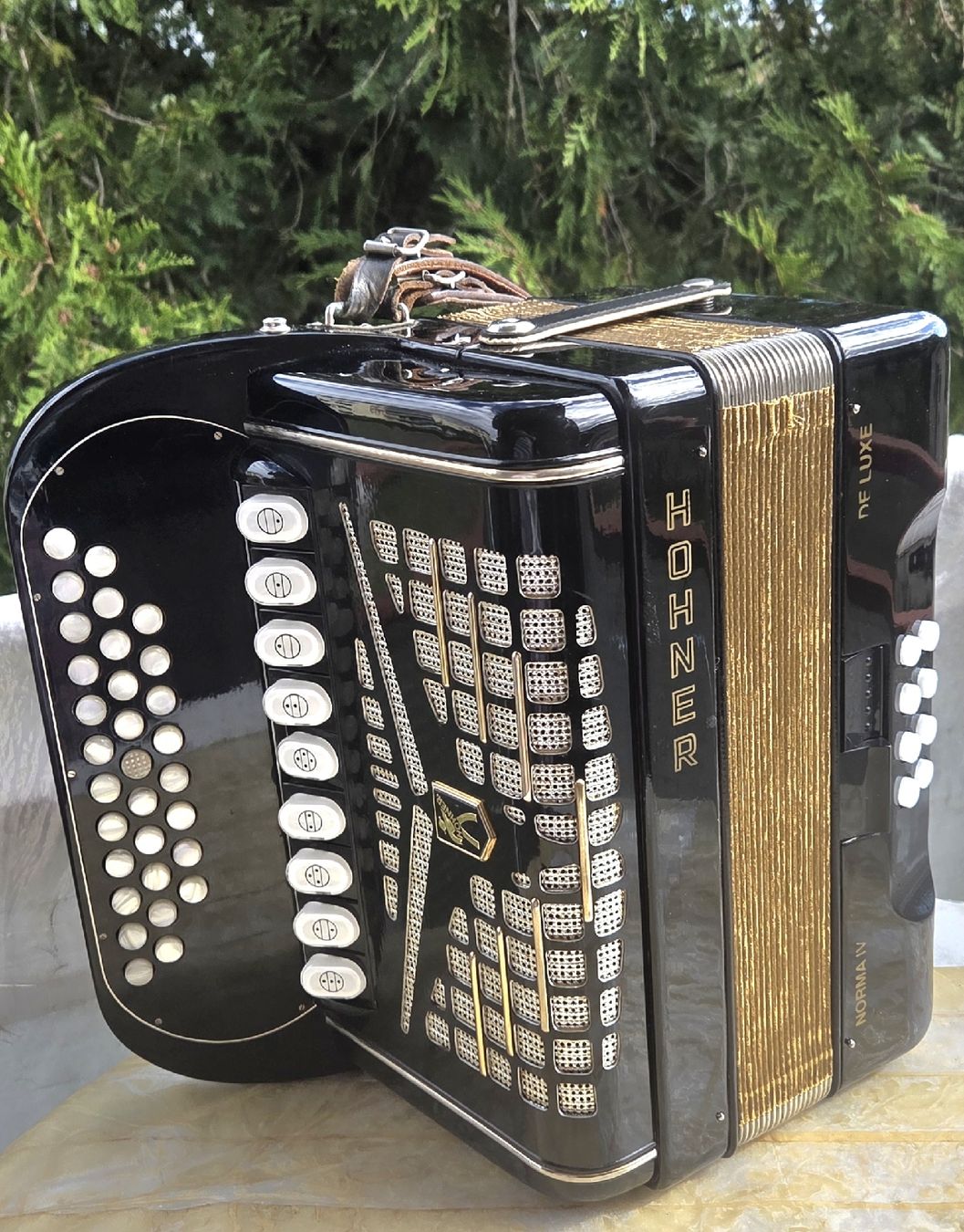Hohner Strumenti musicali: Accordéon hohner Norma IV – Usato da Penthalaz venduto da EvandroLuz 1