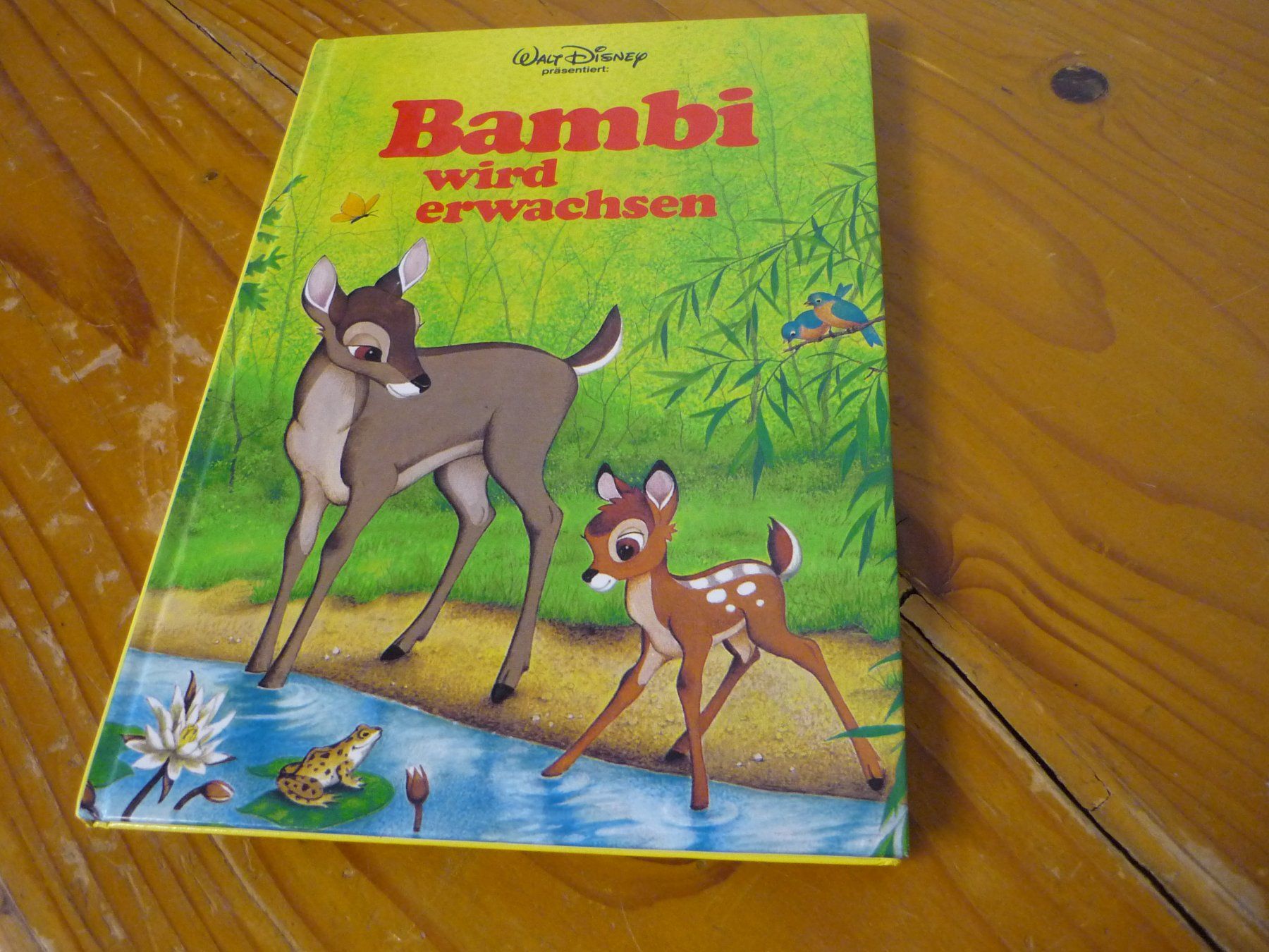 Libri: Kinderbuch - Walt Disney - Bambi wird erwachsen 1983 – Usato da Beringen venduto da Flatretriever